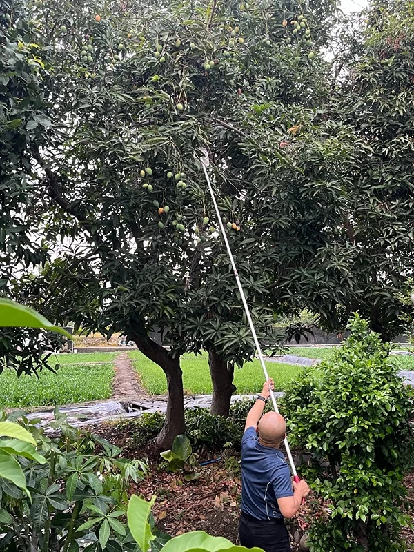 20260707  Fruit 1